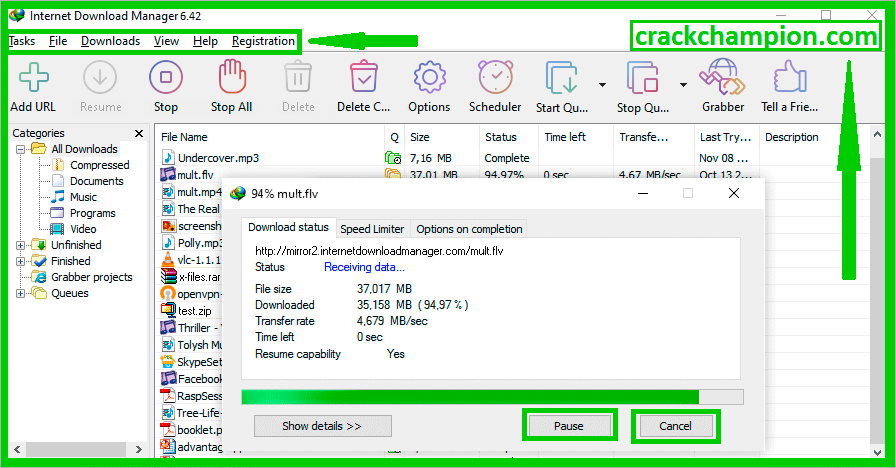 IDM Lifetime Activation